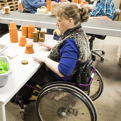 Het Sociaal Innovatiefonds zet in op een inclusieve werkvloer