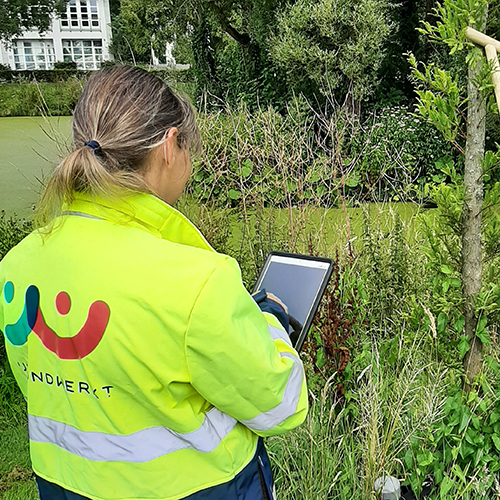 Groenmedewerkster IJmond werkt met GroenApp in de hand