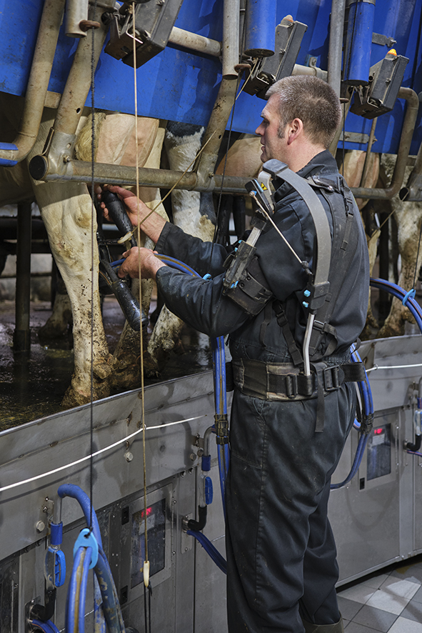 Een man draagt een exoskelet terwijl hij koeien aan het melken is.